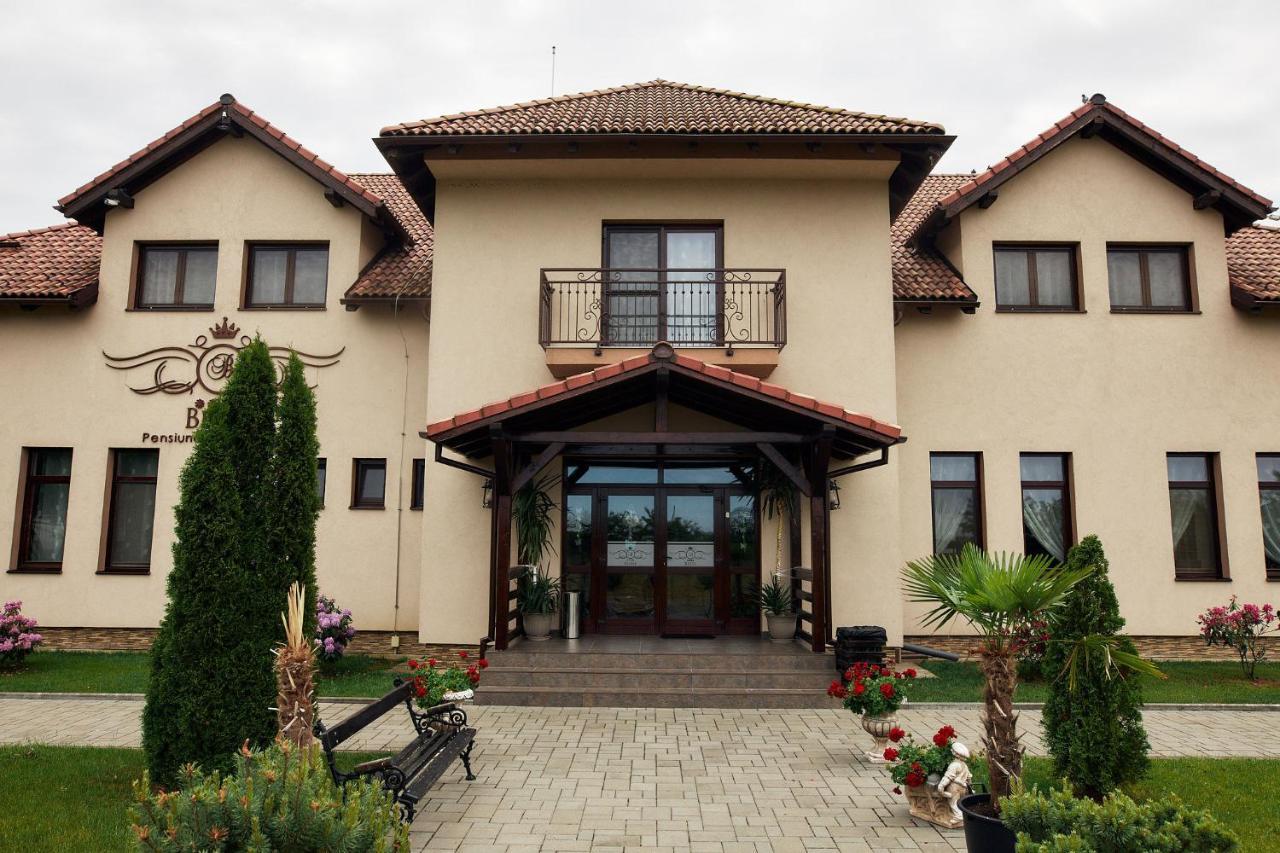 Pensiunea Brise Mediesu Aurit Exterior foto