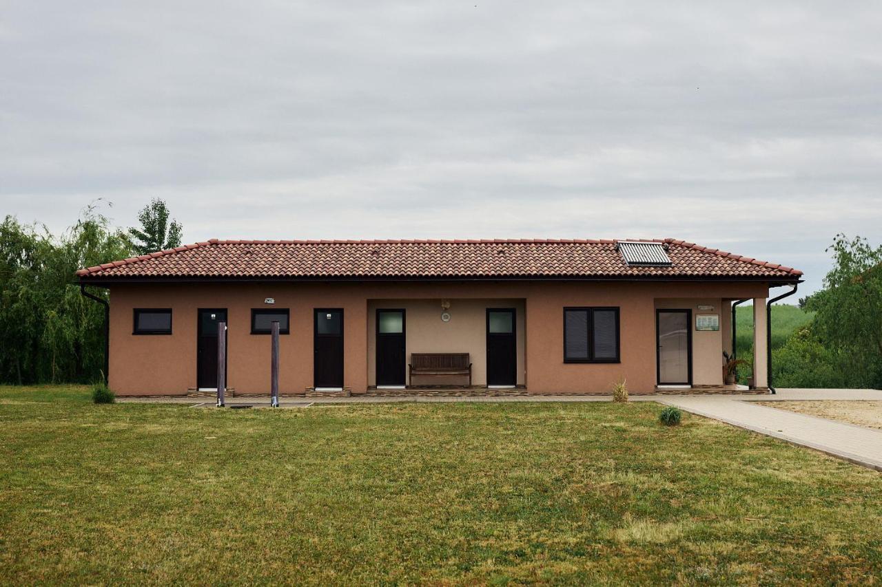 Pensiunea Brise Mediesu Aurit Exterior foto