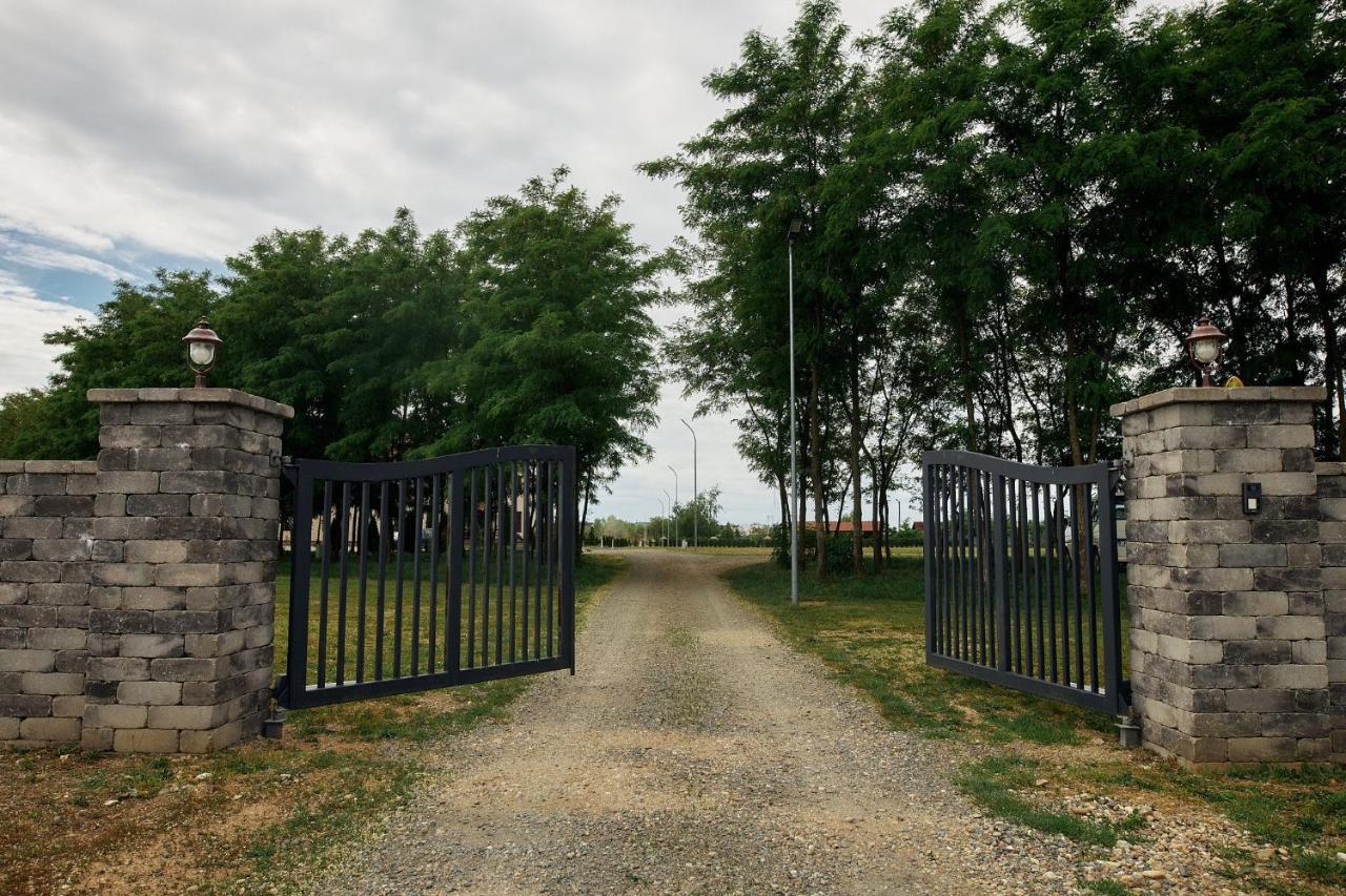 Pensiunea Brise Mediesu Aurit Exterior foto