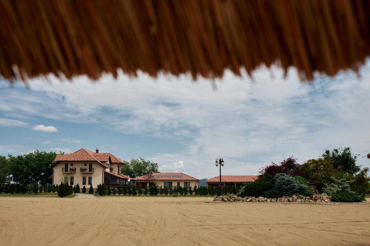 Pensiunea Brise Mediesu Aurit Exterior foto